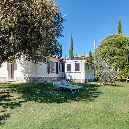Artemisia Negli Ulivi B&B Magliano in Toscana Eksteriør billede