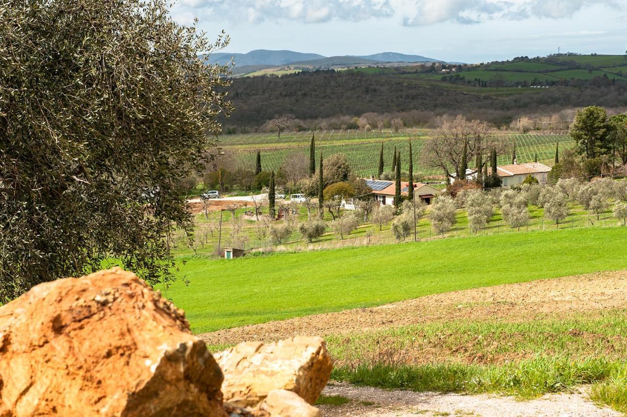 Artemisia Negli Ulivi B&B Magliano in Toscana Eksteriør billede