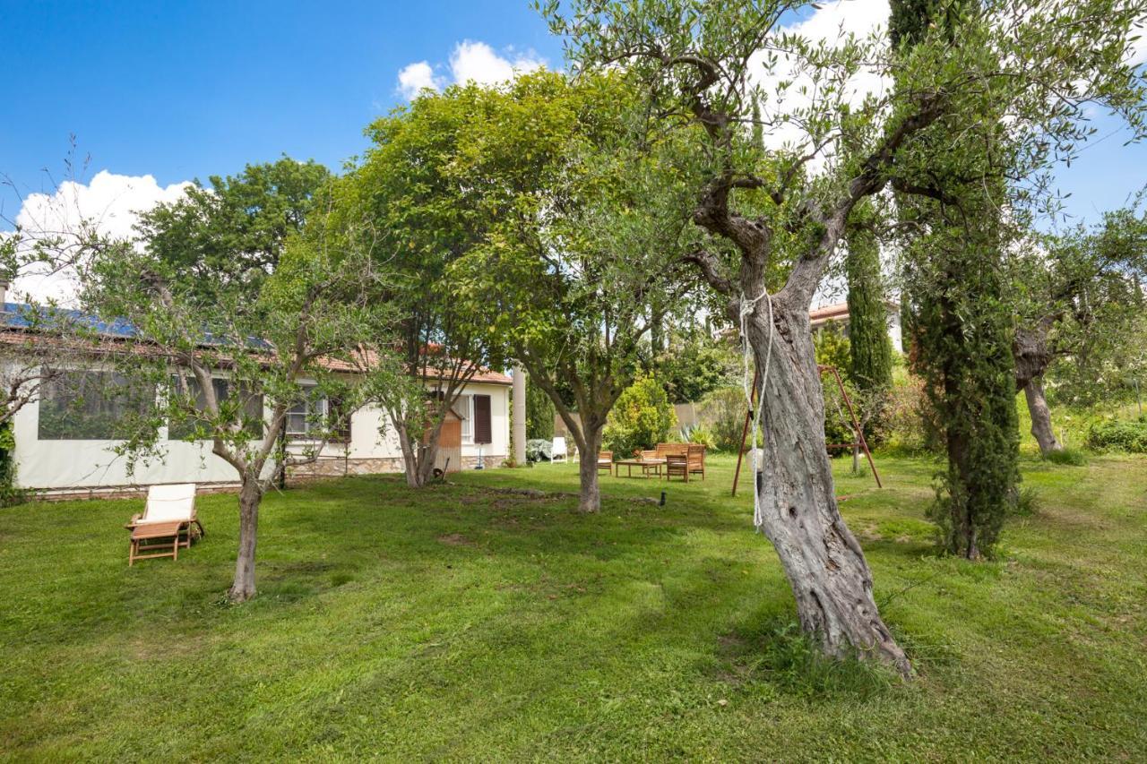 Artemisia Negli Ulivi B&B Magliano in Toscana Eksteriør billede