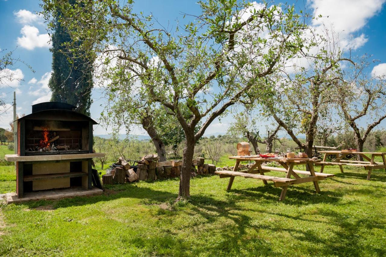 Artemisia Negli Ulivi B&B Magliano in Toscana Eksteriør billede