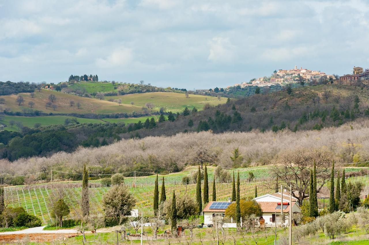 Artemisia Negli Ulivi B&B Magliano in Toscana Eksteriør billede