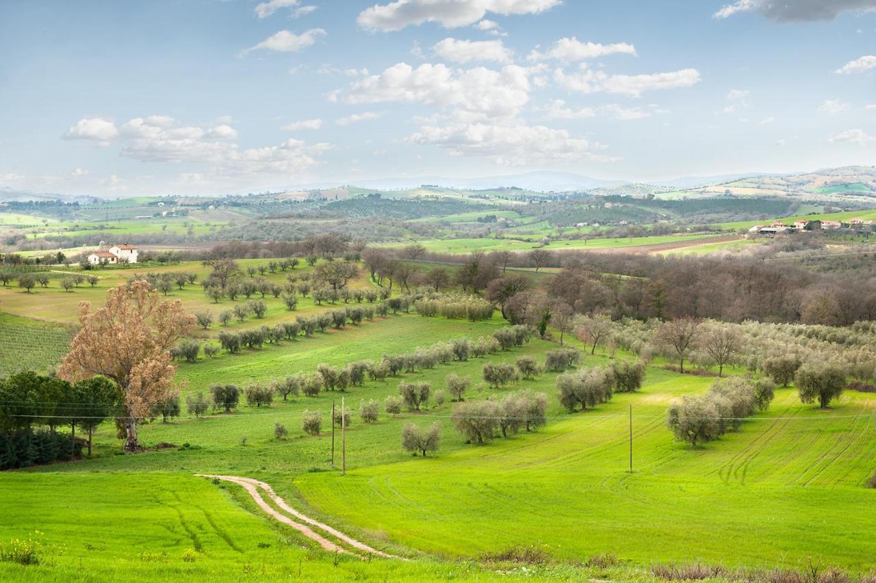 Artemisia Negli Ulivi B&B Magliano in Toscana Eksteriør billede