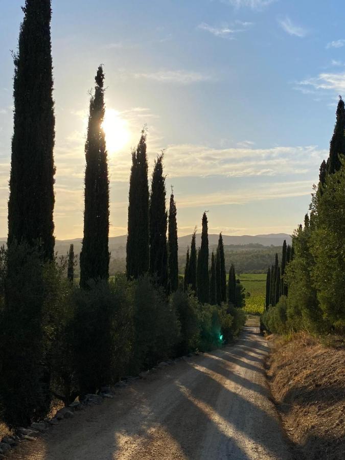 Artemisia Negli Ulivi B&B Magliano in Toscana Eksteriør billede
