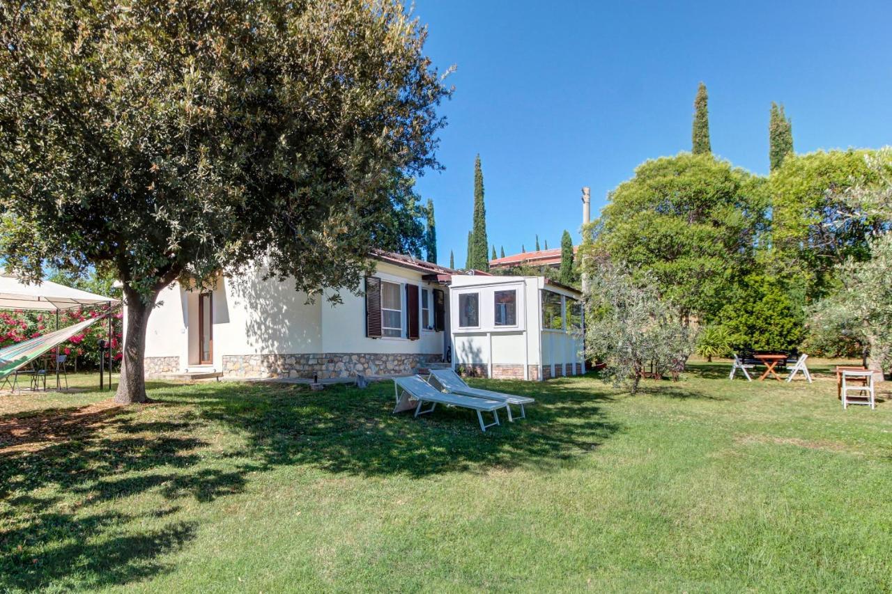 Artemisia Negli Ulivi B&B Magliano in Toscana Eksteriør billede