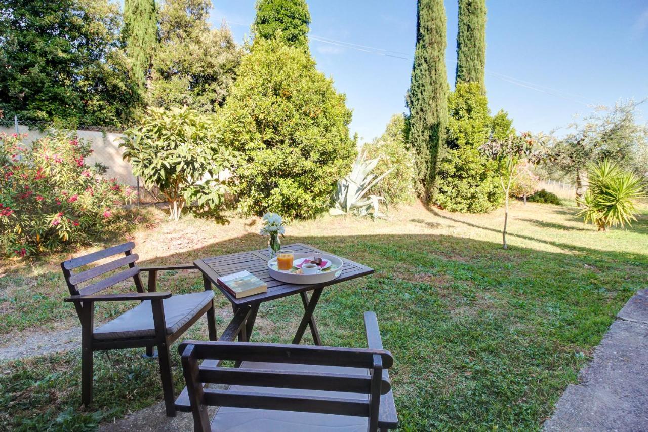Artemisia Negli Ulivi B&B Magliano in Toscana Eksteriør billede