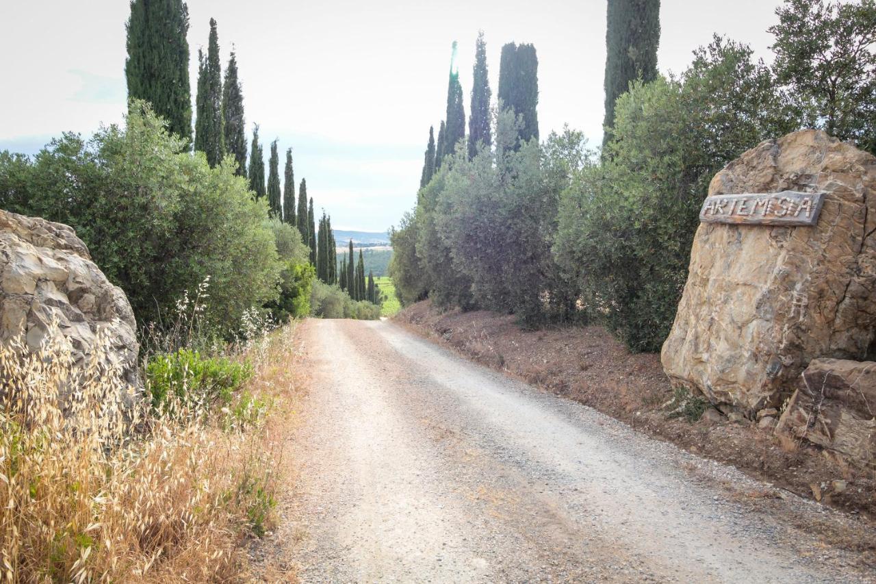 Artemisia Negli Ulivi B&B Magliano in Toscana Eksteriør billede