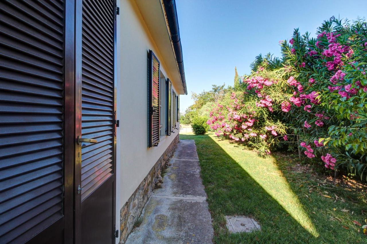 Artemisia Negli Ulivi B&B Magliano in Toscana Eksteriør billede