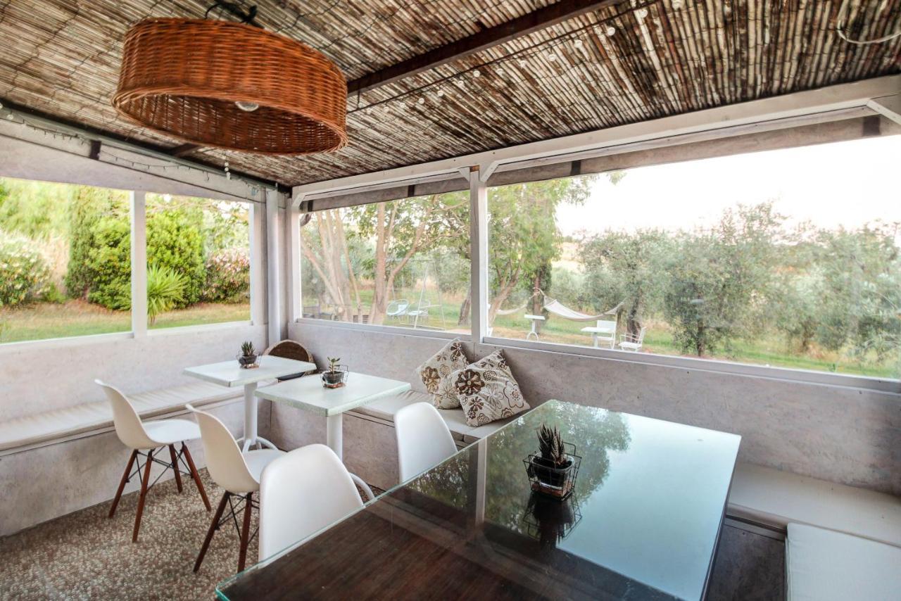 Artemisia Negli Ulivi B&B Magliano in Toscana Eksteriør billede
