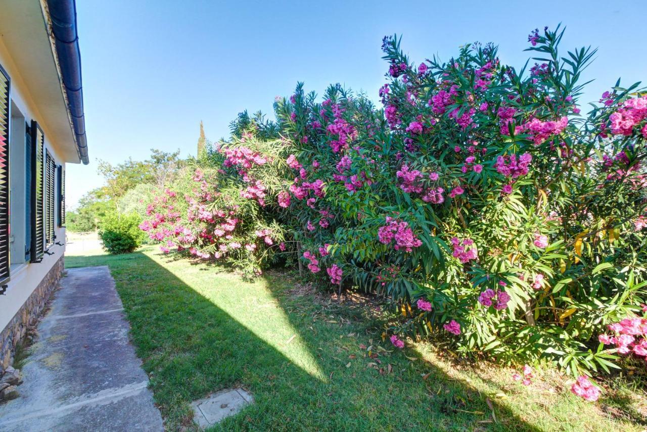 Artemisia Negli Ulivi B&B Magliano in Toscana Eksteriør billede